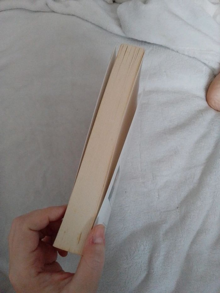 Sarah la bible au féminin - photo numéro 3