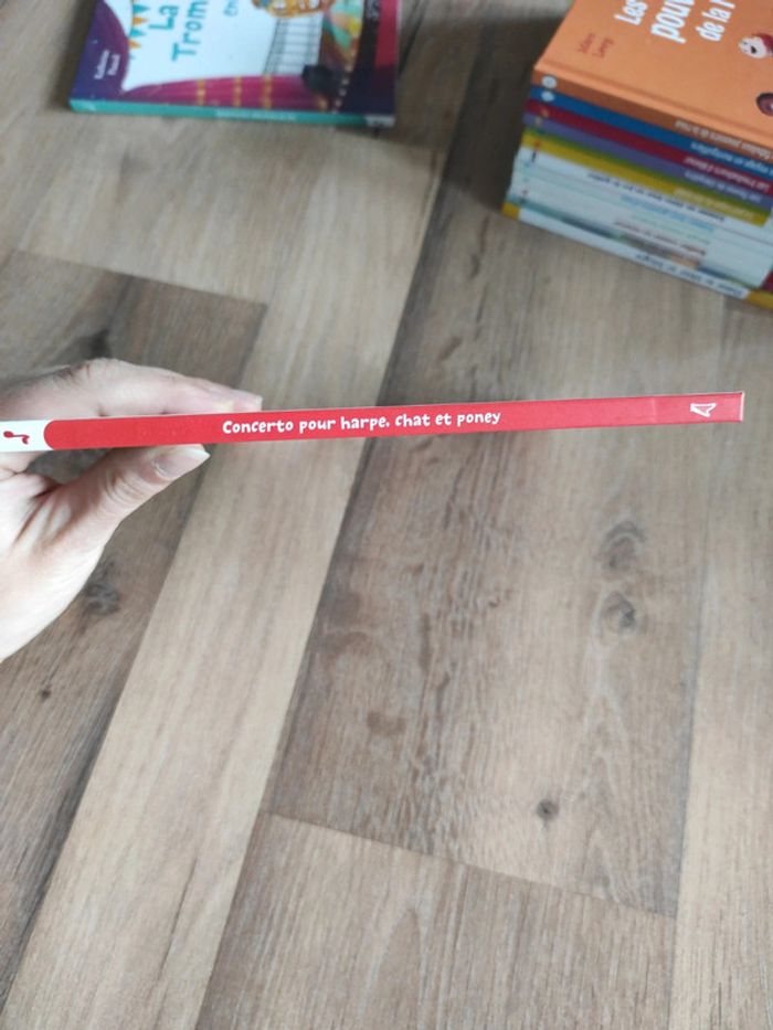 Livre : Concerto pour Harpe, chat et poney - photo numéro 3