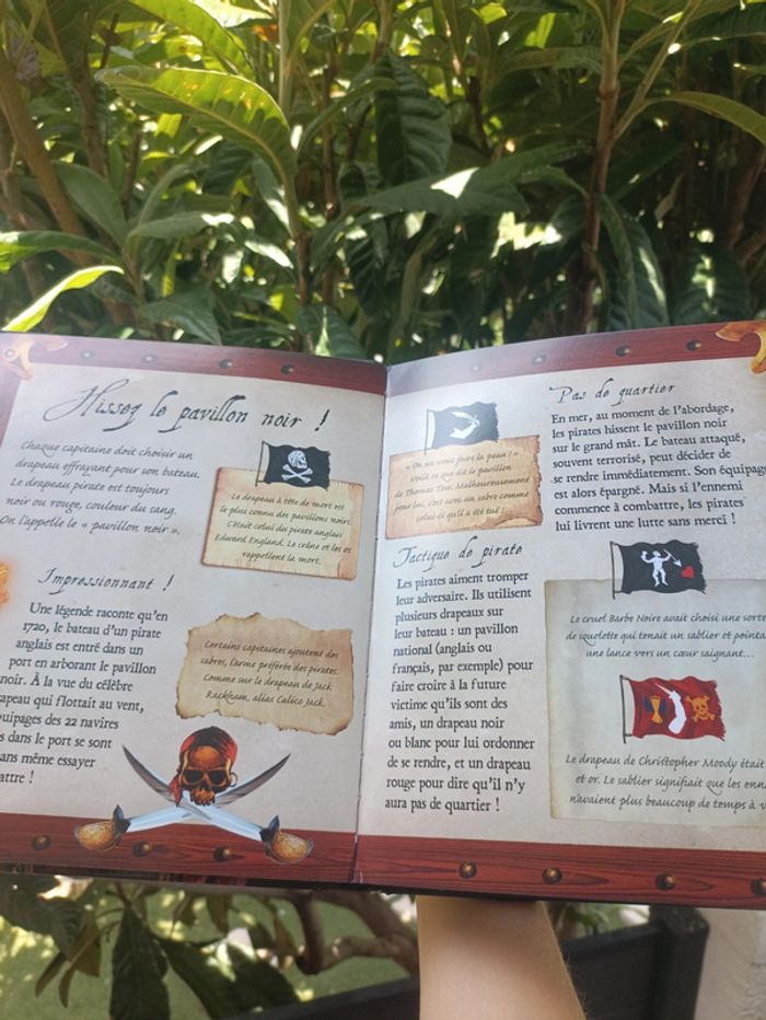 Livre le bateau de pirates Larousse. - photo numéro 6