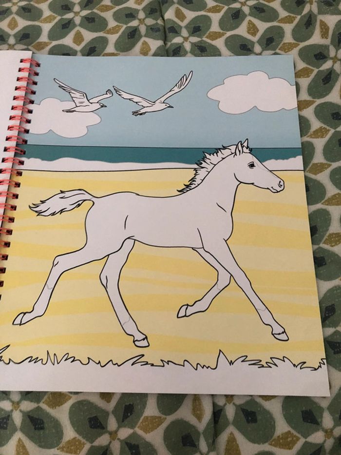 Livre de coloriage miss Mélody - photo numéro 8