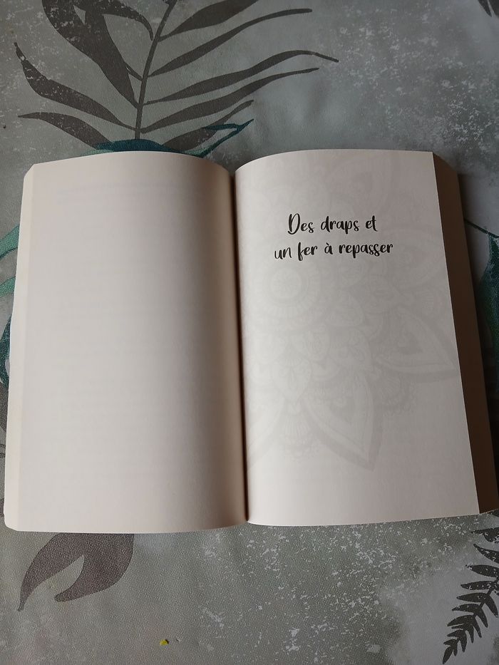 Livre caméra confidence et mandalas - photo numéro 2