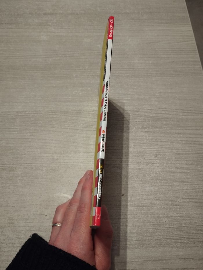 BD Sami et Julie - photo numéro 3