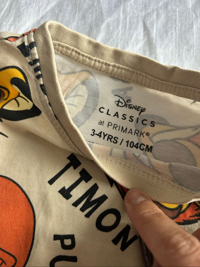 Haut roi lion - photo numéro 3