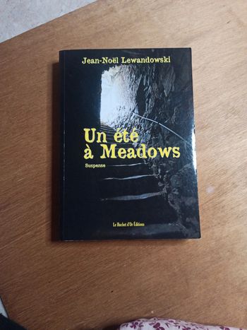Un été à Meadows - Jean-Noël Lewandowski