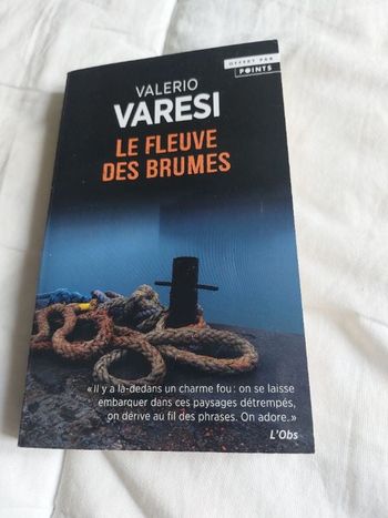Livre titre  Le fleuve des brumes