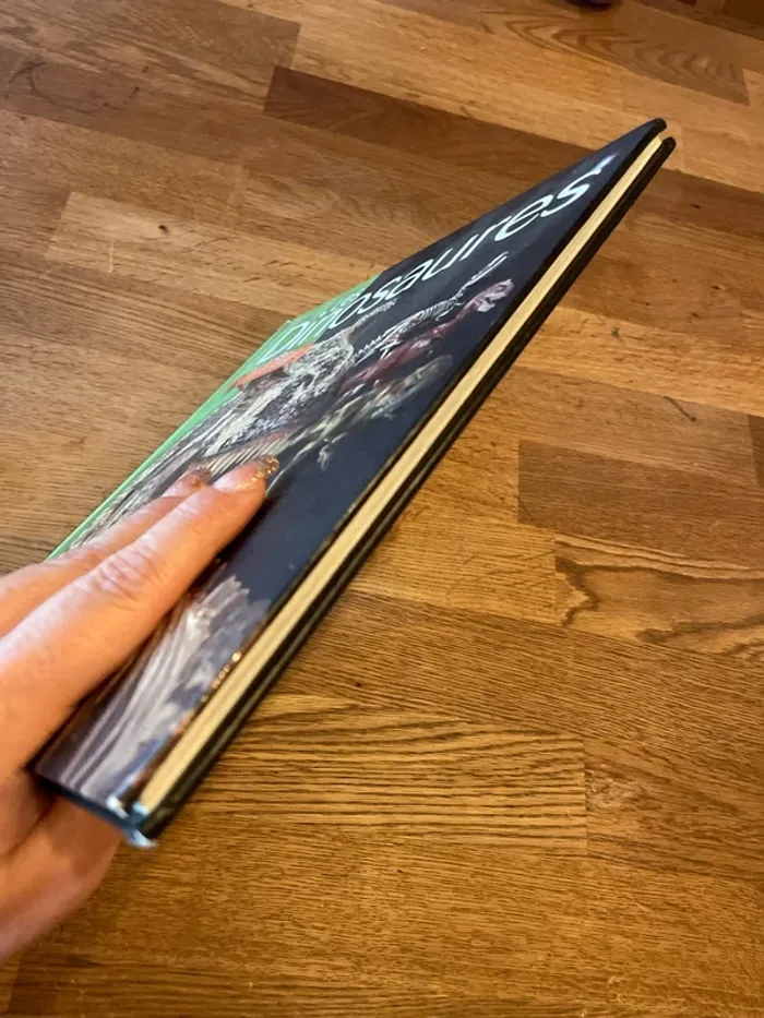 Livre Les dinosaures À la loupe - photo numéro 4