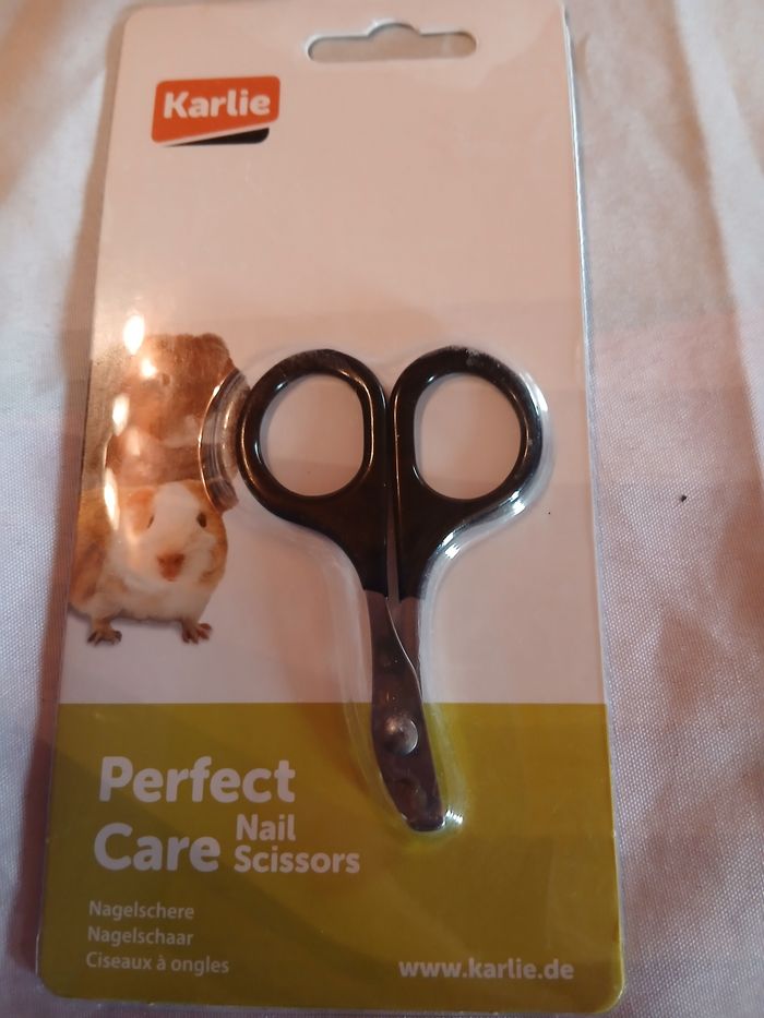 Ciseaux  pour lapin - photo numéro 2