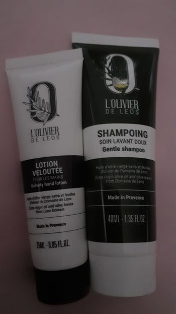Lot l'olivier du leos