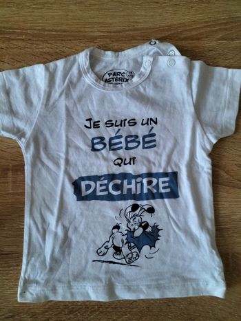 Tee-shirt Astérix