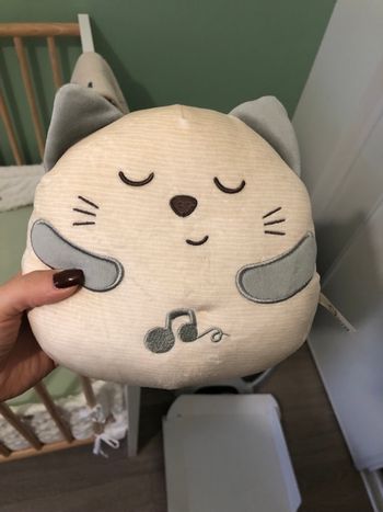 Peluche
