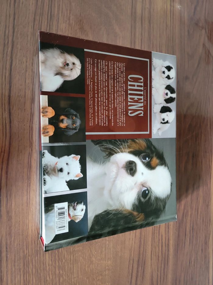 Livre sur les chiens - photo numéro 3