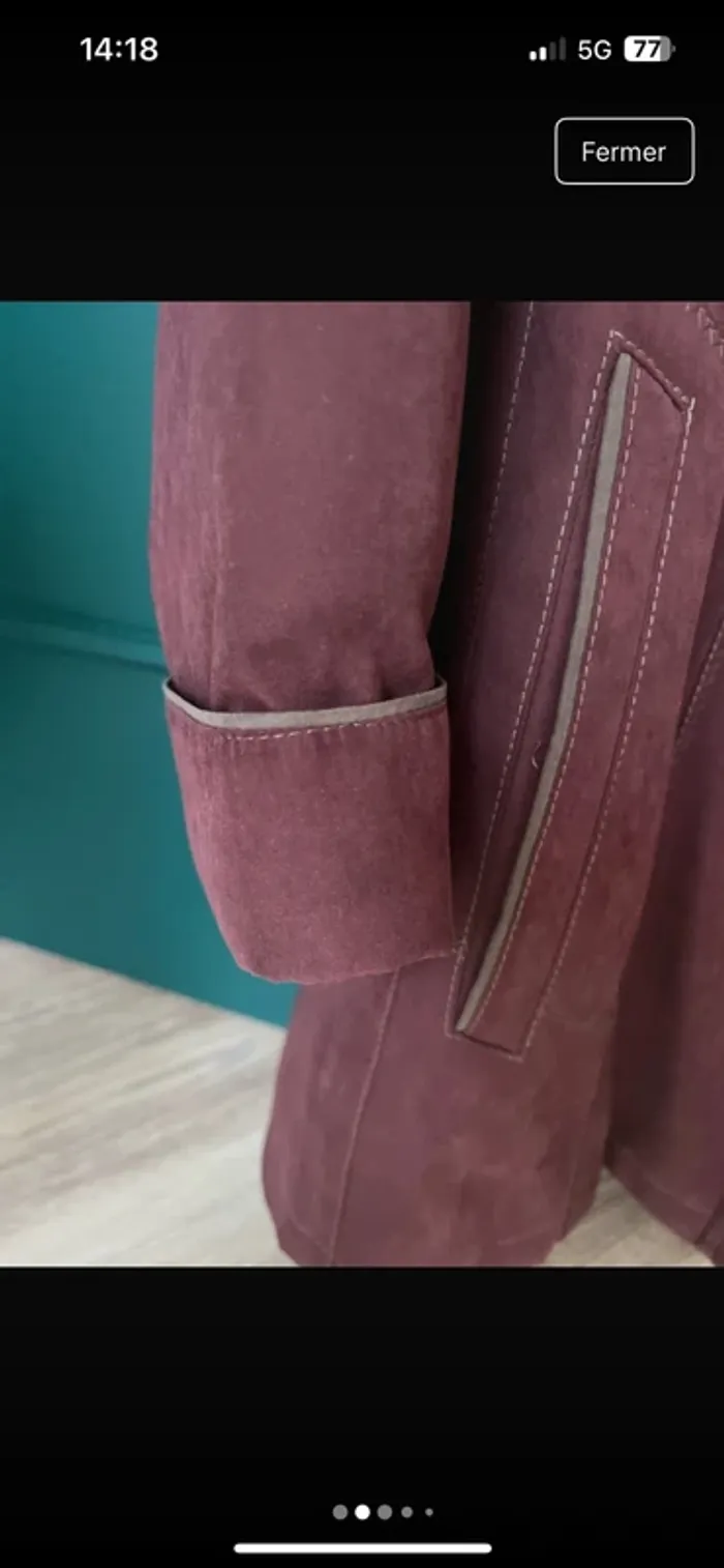 Jolie manteau - photo numéro 2