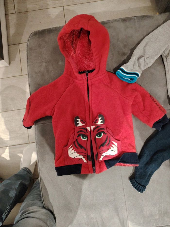 Lot veste et pull 9 mois