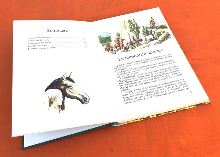 Anne Rochegude L' Incroyable voyage et autres histoires de chevaux - photo numéro 9