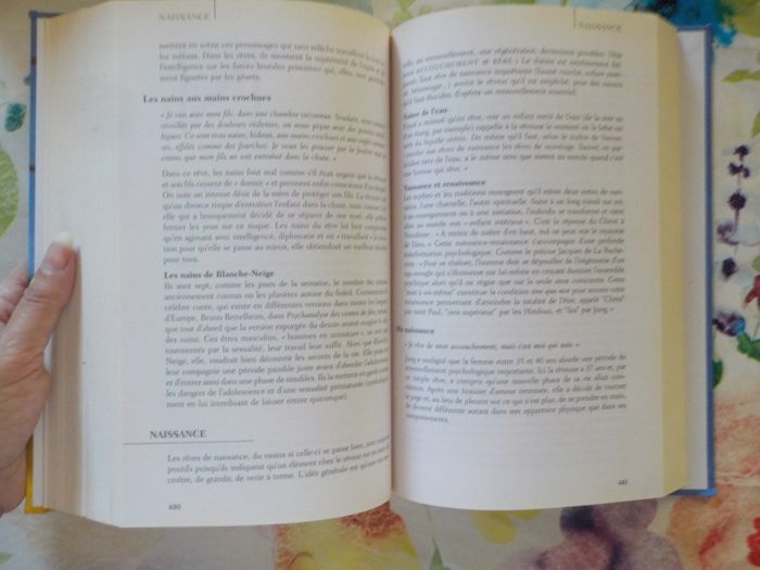 Dictionnaire des rêves par Hélène RENARD Ed. France Loisirs - photo numéro 10