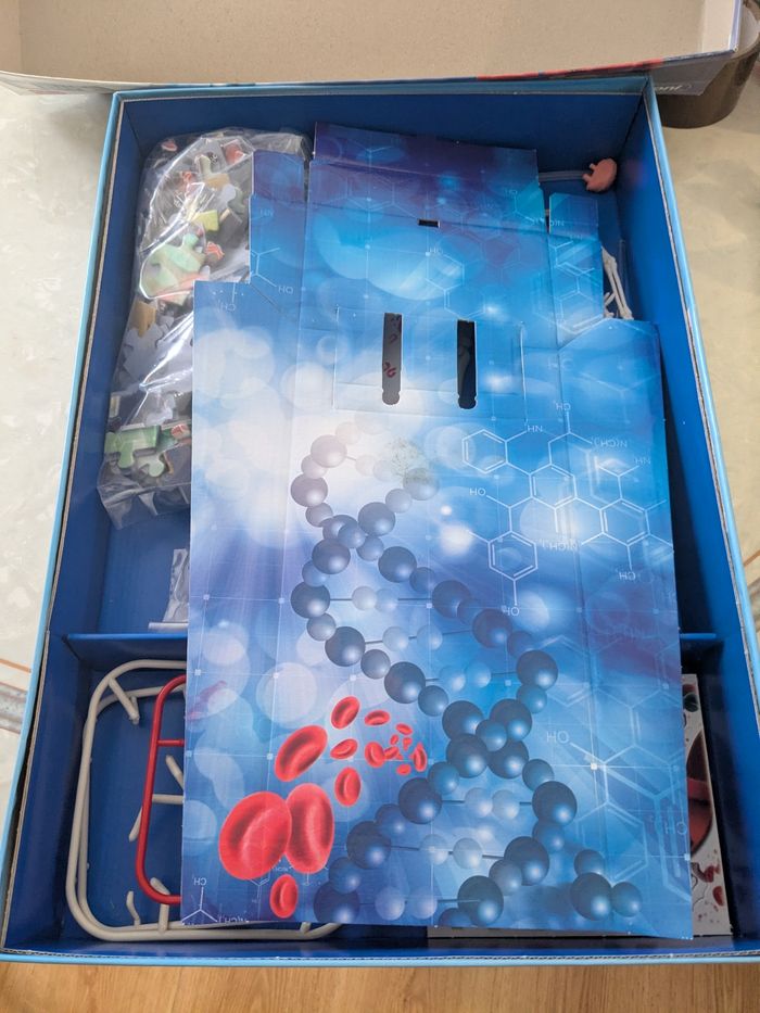 Jeux éducatifs, le corps humain science et jeux. À partir de 9 - photo numéro 5