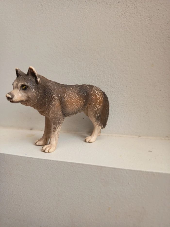 Loup Schleich - photo numéro 2
