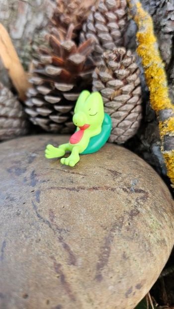 Super figurine Pokemon Nintendo tomy t-art Arcko dodo