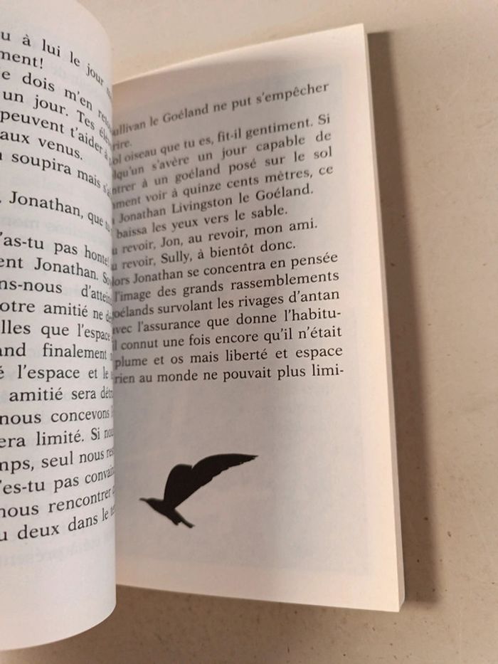Jonathan Livingston le goéland de Richard Bach - photo numéro 6