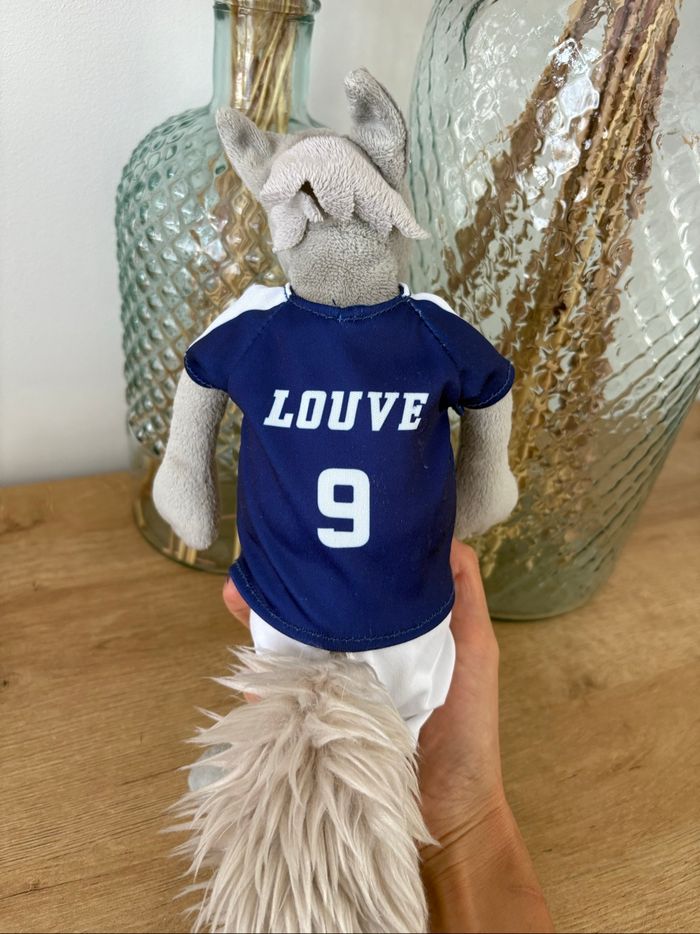 Louve football numéro 9 - photo numéro 4