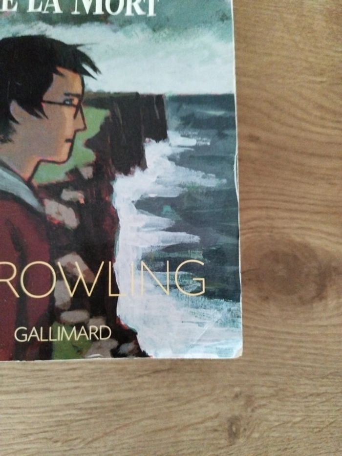 Harry Potter et les reliques de la mort - photo numéro 2