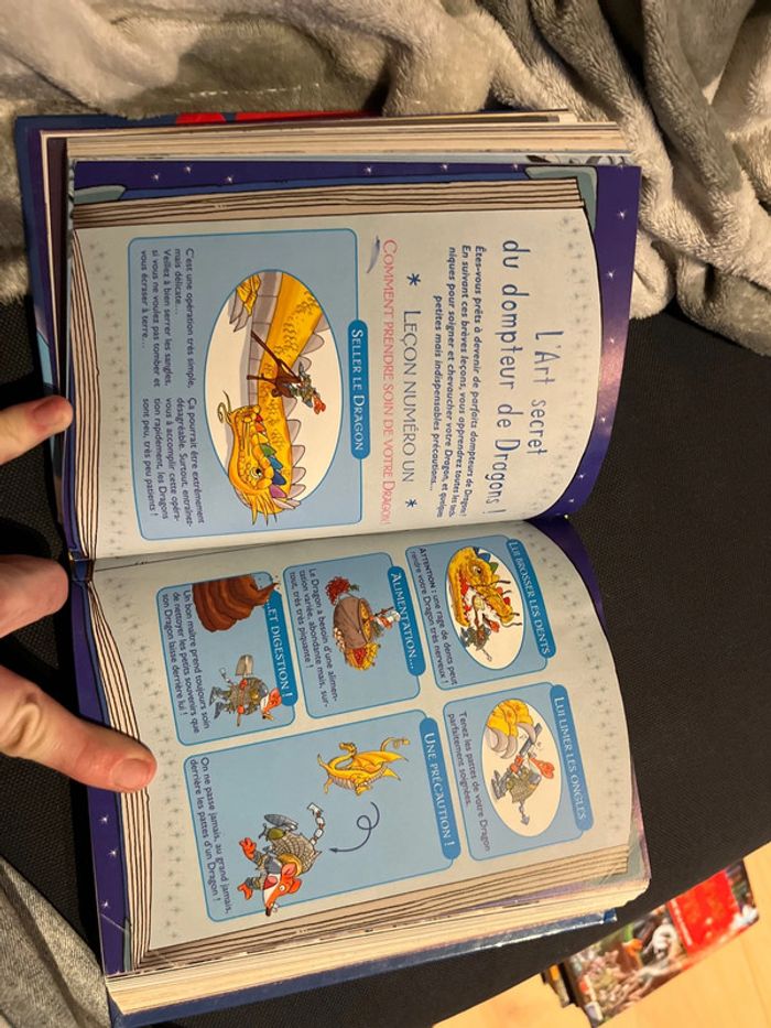 Livre pour enfants Geronimo stilton le royaume de la magie - photo numéro 4