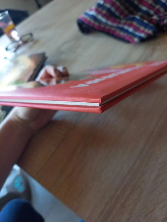 Livre barbapapa - photo numéro 7