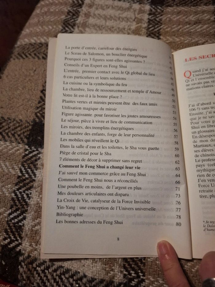 Feng shui. La force invisible universelle - photo numéro 5