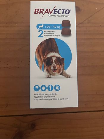 Bravecto chien 20/40 if