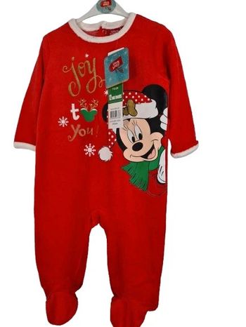 Grenouillère disney