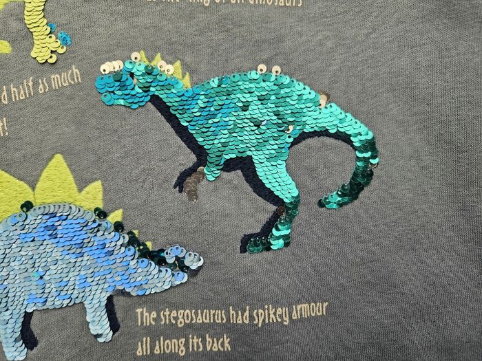 Sweat bleu ciel dinausore H&M 5 ans - photo numéro 5