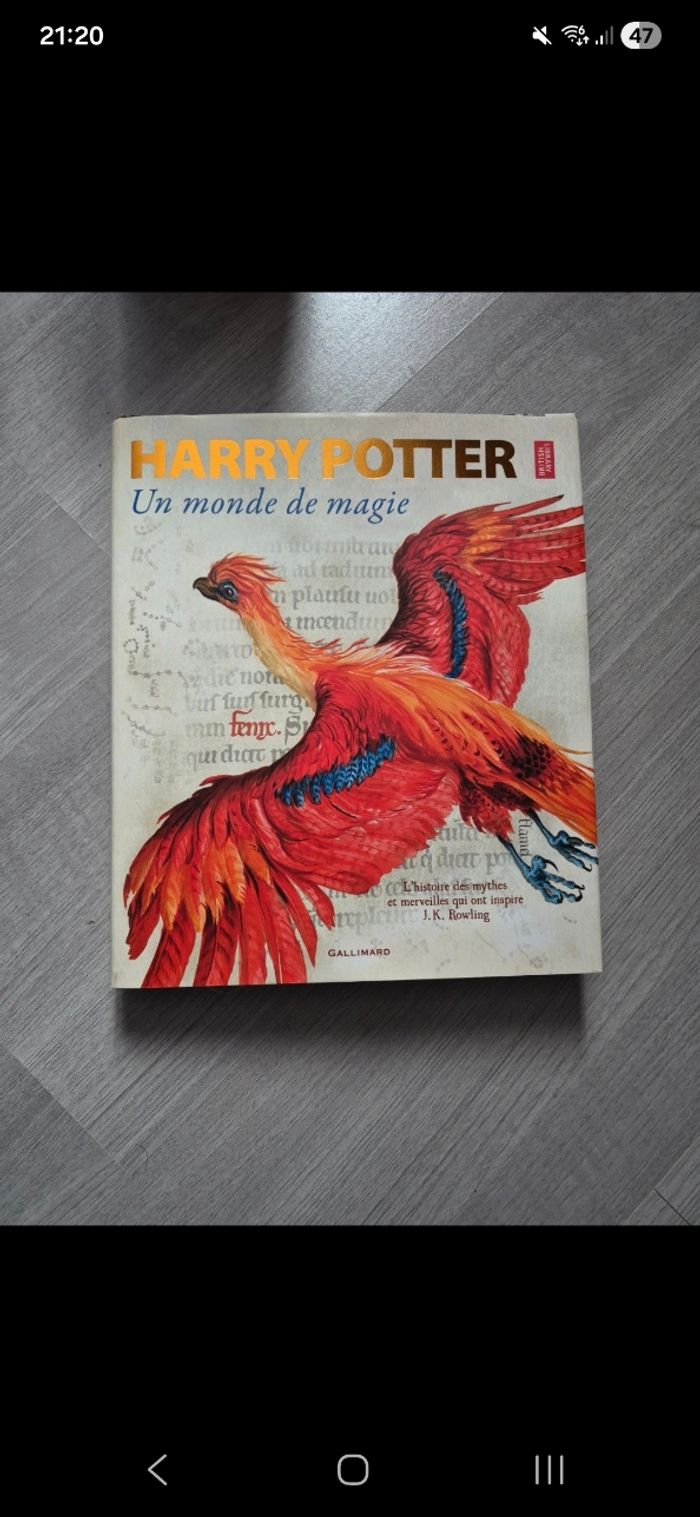 Harry potter un monde magie gallimard