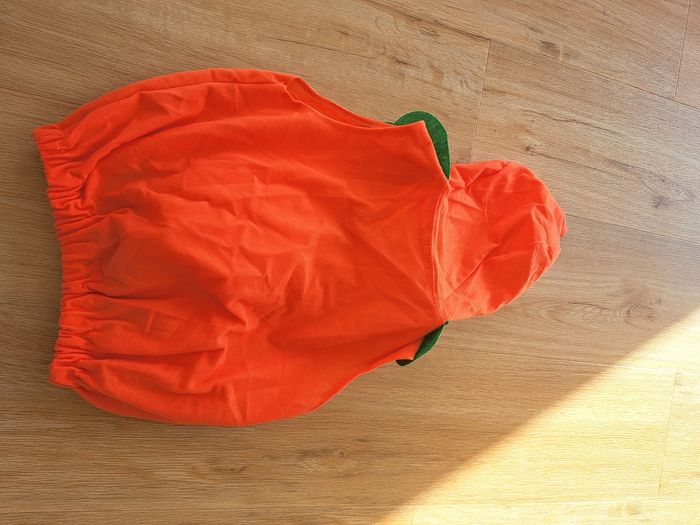 Deguisement citrouille haloween - photo numéro 3
