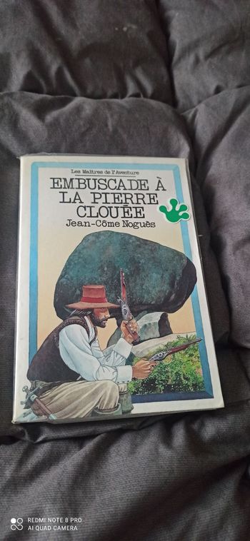 Livre embuscade à la Pierre clouée