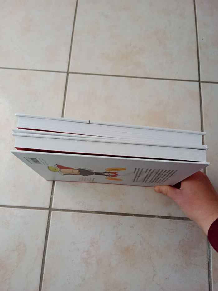 Lot livres Le petit grumeau - photo numéro 7