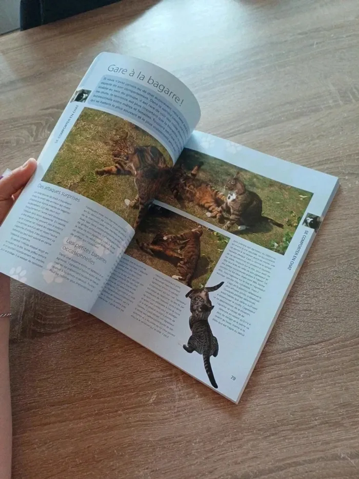 Livre " 100 clés pour comprendre son chat " - photo numéro 8