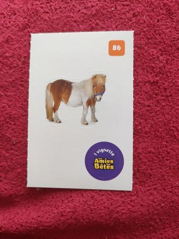 Autocollant nos amies les bêtes