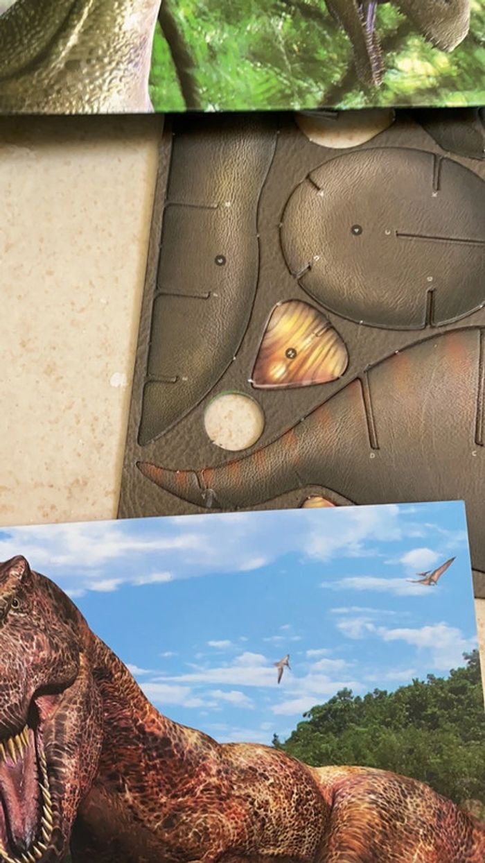 Jeu dinosaures science et découverte - photo numéro 6