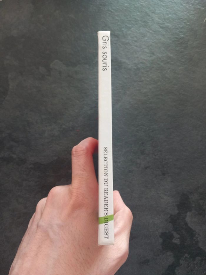 Gris souris - photo numéro 3