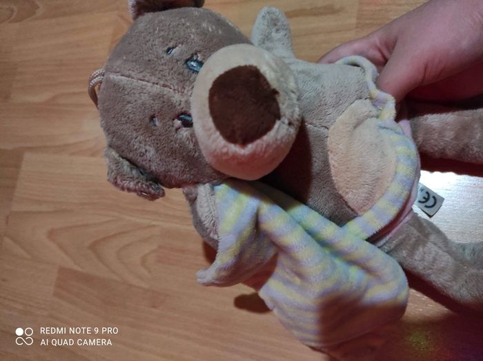 Nounours ours - photo numéro 2