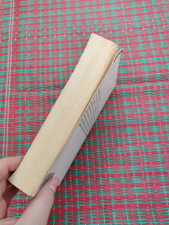 Henri Gougaud, l'arbre à soleils,légendes - photo numéro 4