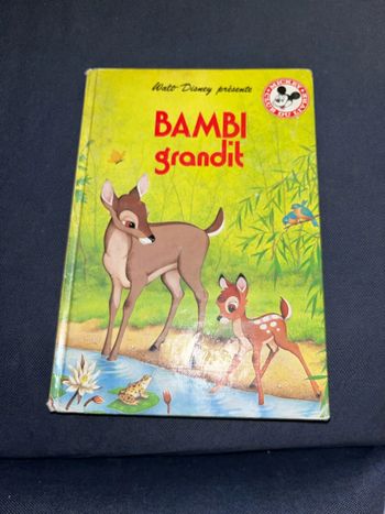 Livre pour enfants Disney club du livre bambou grandit