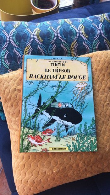 Livre tintin