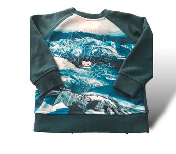 Sweat-shirt épais vert sapin imprimé mountain