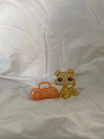 lps colley