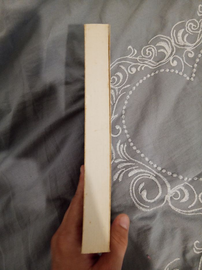 Livre (21) 📚 Pitié pour le mal - photo numéro 4