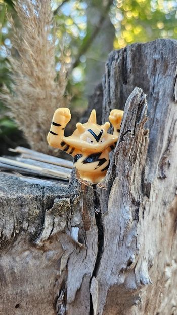 Super figurine Pokemon Nintendo bondai elektek