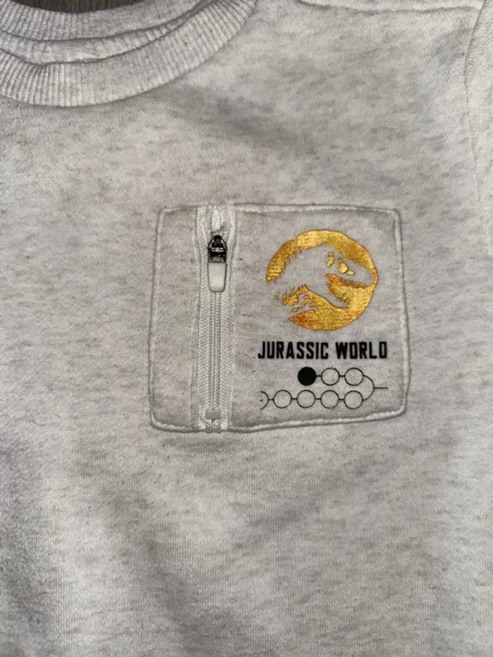 Pull sweat Jurassic world - photo numéro 3
