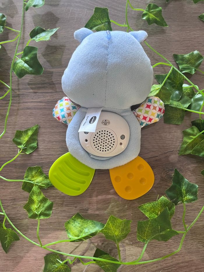 Croc hippo - photo numéro 2