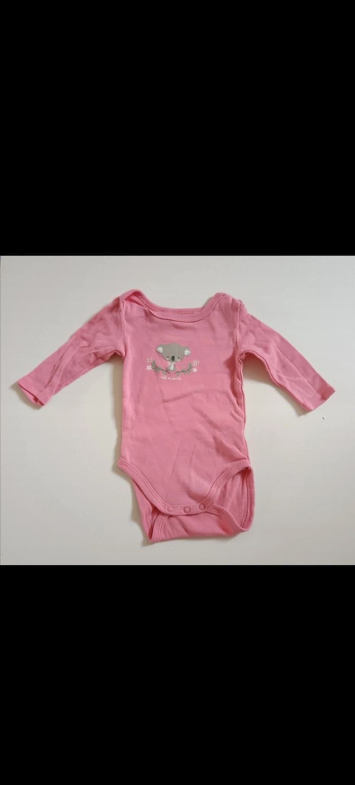 Bodie rose koala